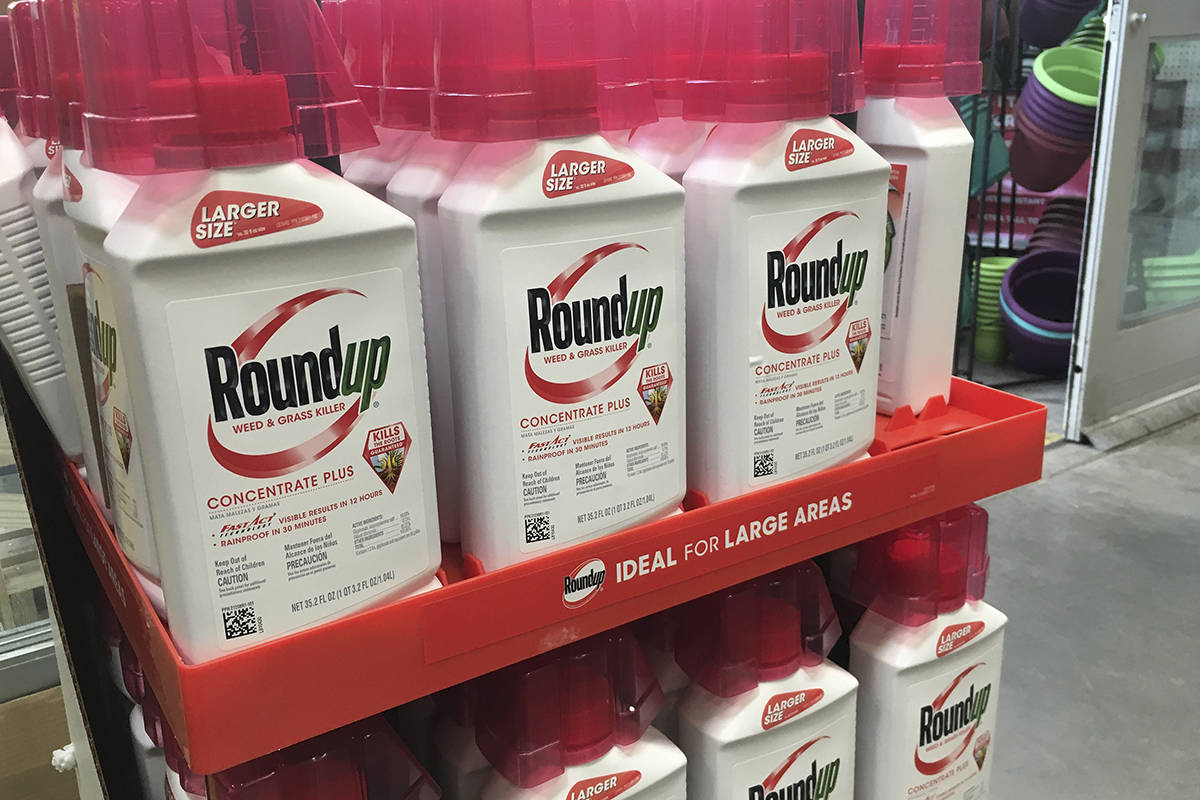 FILE - In this, Feb. 24, 2019, file photo, containers of Roundup are displayed at a store in Sa ...