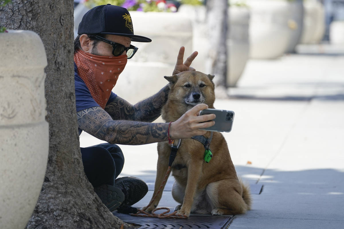 Andrew Stuart wears a bandana as a mask while taking a selfie with his dog, Voltron, on Sunset ...