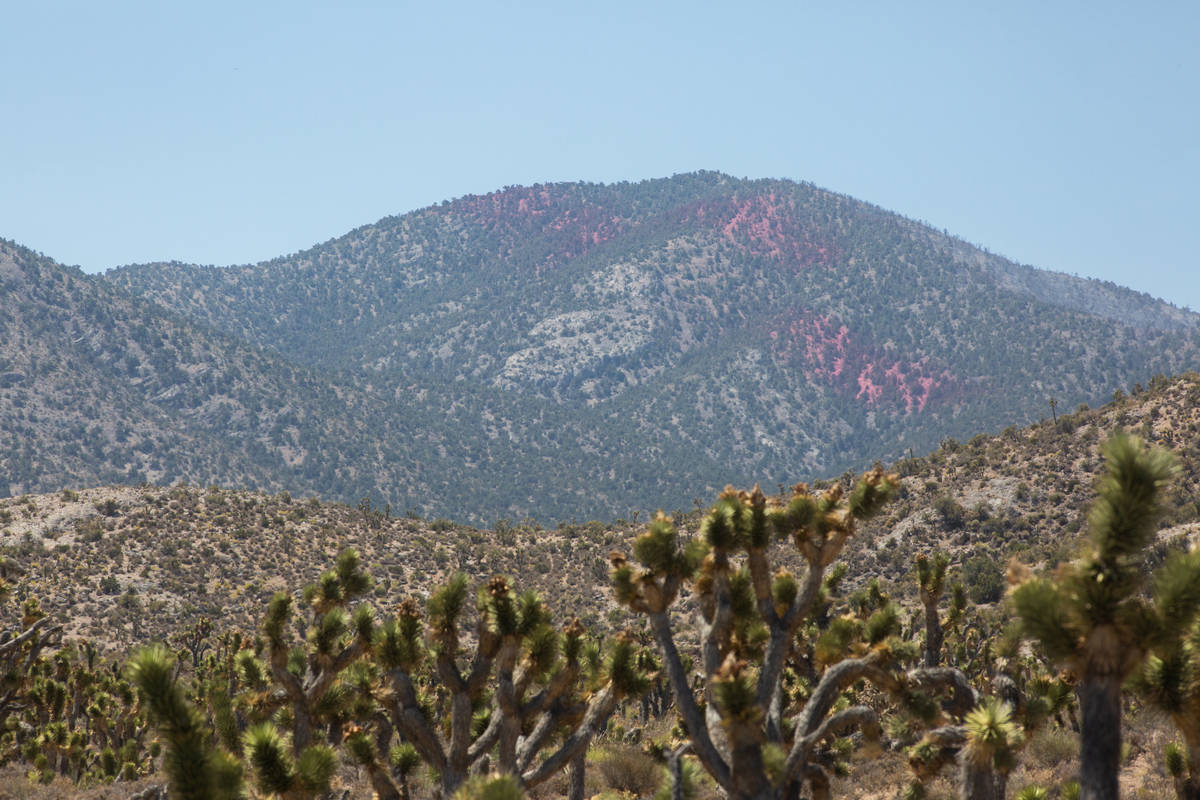 Fire retardant can be seen on hills from Lee Canyon Road to prevent the spread of the Mahogany ...