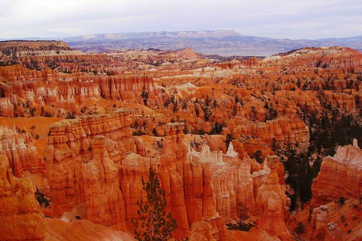 The 35,835-acre park, established in 1928, lies on the eastern rim of the Paunsaugunt Plateau i ...