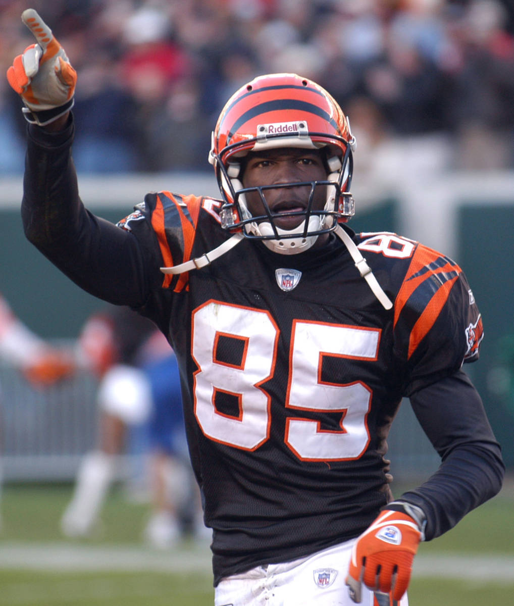 Cincinnati Bengals receiver Chad Johnson reacts in the closing minutes of their 34-27 win over ...