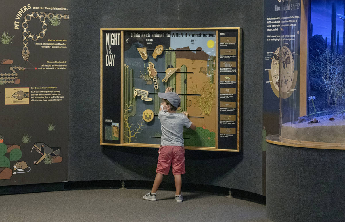 Jackson Trujillo, 4, of Las Vegas, explores the new exhibit at the Las Vegas Natural History Mu ...
