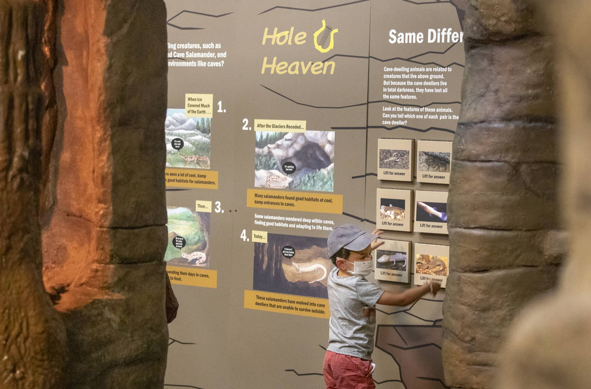 Jackson Trujillo, 4, of Las Vegas, learns about creatures that live in caves at the new exhibit ...