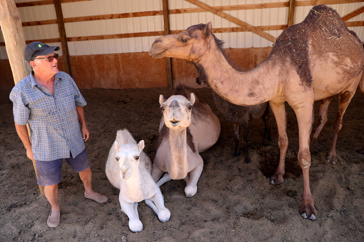 Guy Seeklus visits with, from left, Sam, 5 months, her mother Dorothy, and Bessie at Camel Safa ...