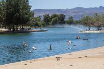 A high of 107 is forecast for Las Vegas on Thursday, July 9, 2020, according to the National We ...