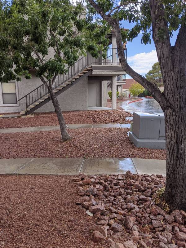 Some rainfall is seen Sunday, July 19, 2020, on the 4300 block of East Sunset Road in Henderson ...