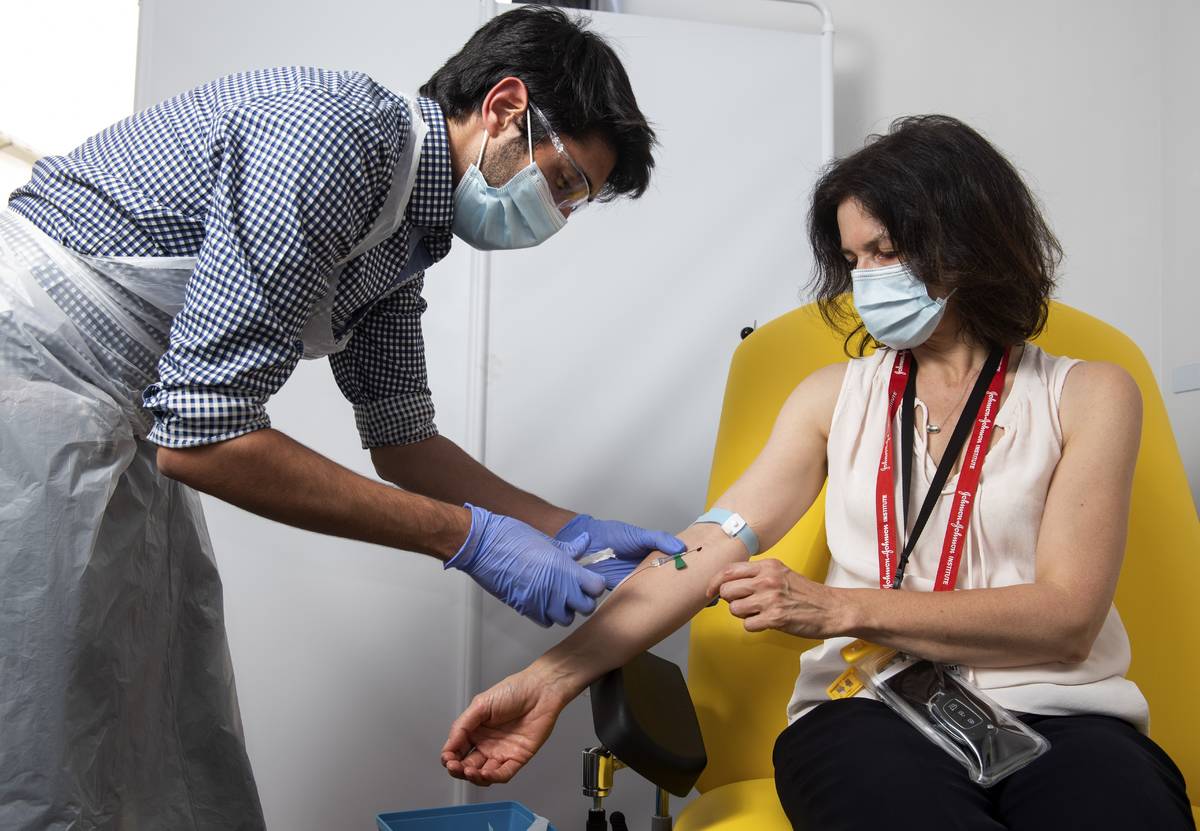 In this handout photo released by the University of Oxford a doctor takes blood samples for use ...