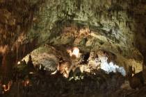 Hundreds of cave formations are shown decorating the Big Room at Carlsbad Caverns National Park ...