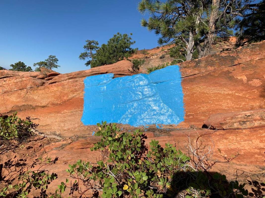 Six blue squares were painted on sandstone at Zion. (Zion National Park)