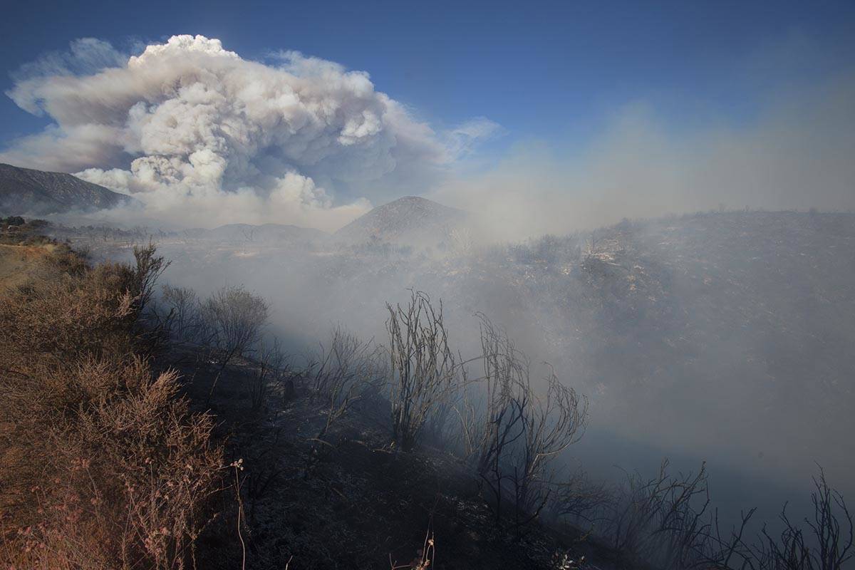 Burned area at the Apple Fire in Cherry Valley, Calif., on Saturday, Aug. 1, 2020. Smoke from t ...