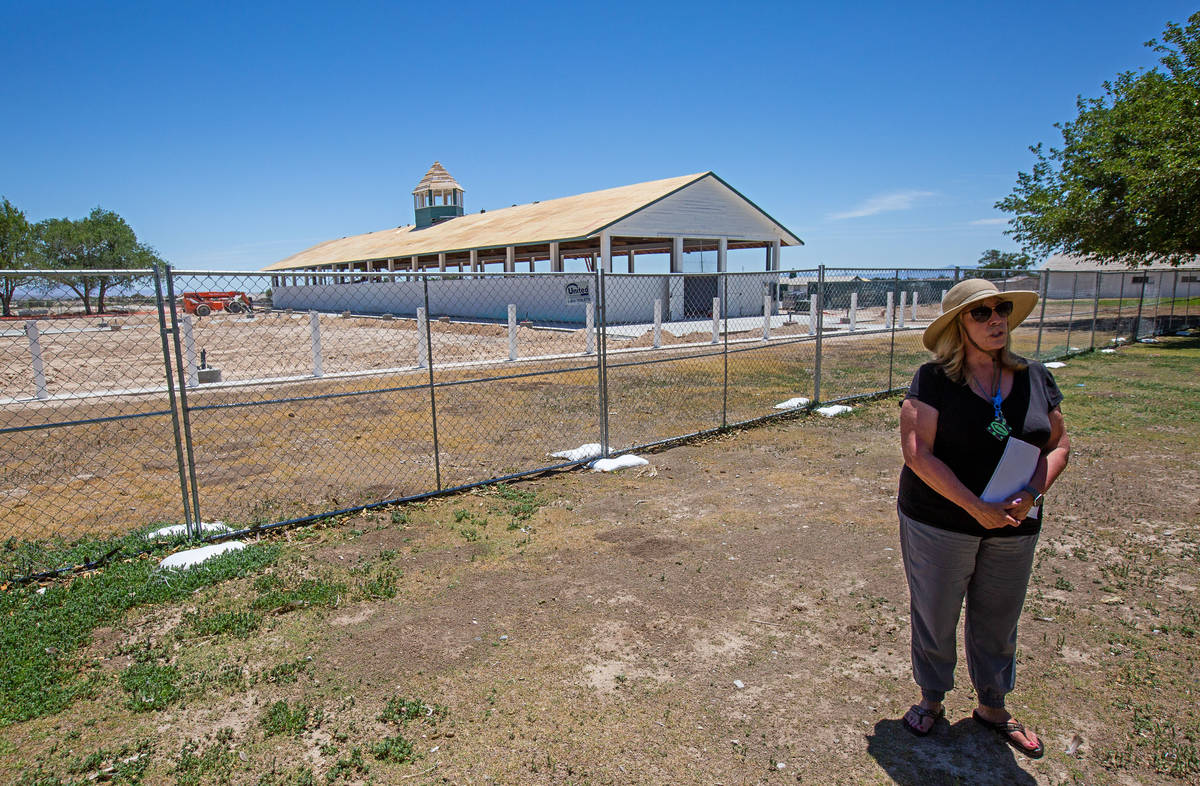 In this June 19, 2020, file photo, Karen Livingston, leader of the Save Floyd Lamb Park action ...