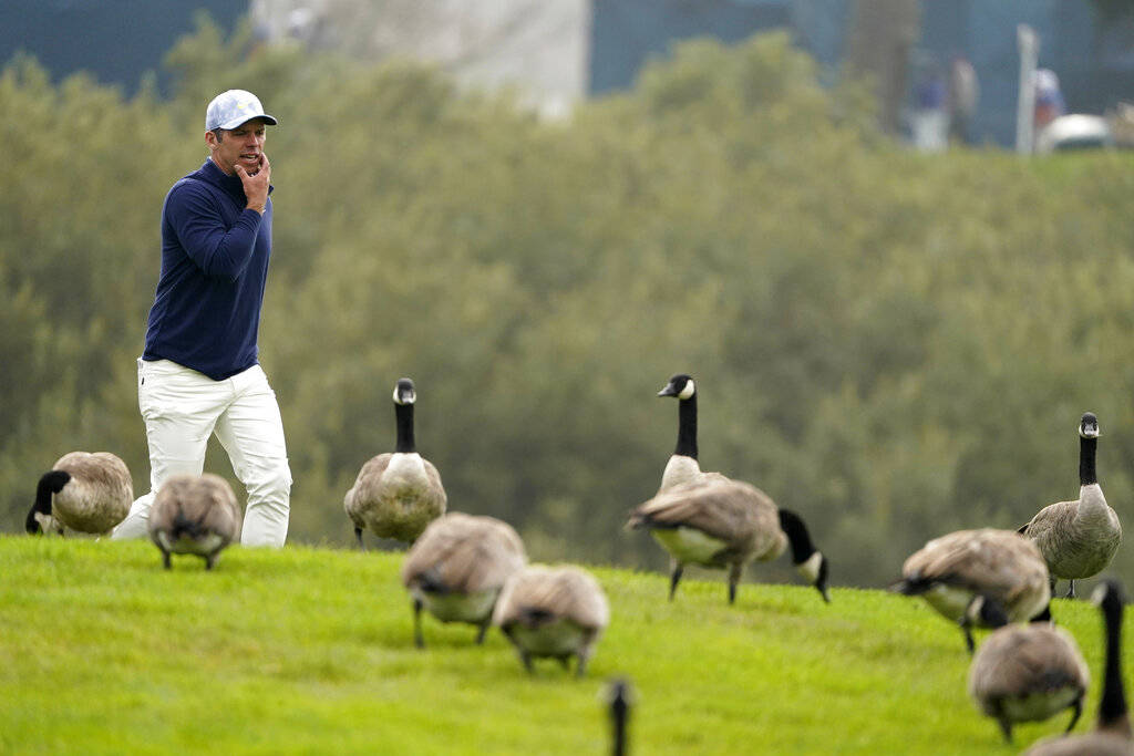Paul Casey walks past a flock of geese on the 18th hole during the third round of the PGA Champ ...