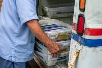FILE - In this July 31, 2020, file photo, letter carriers load mail trucks for deliveries at a ...