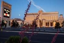 South Point hotel-casino photographed on Friday, May 8, 2020, in Las Vegas. (Bizuayehu Tesfaye/ ...