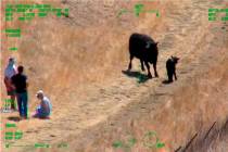 This photo from helicopter video posted by the California Highway Patrol shows part of a confro ...