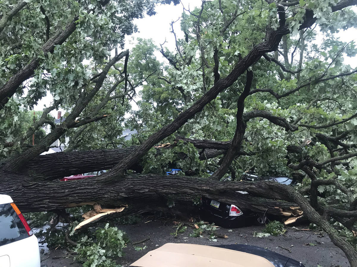 A storm with gusts more than 80 mph knocked down a tree, which crushed about four cars in Des M ...