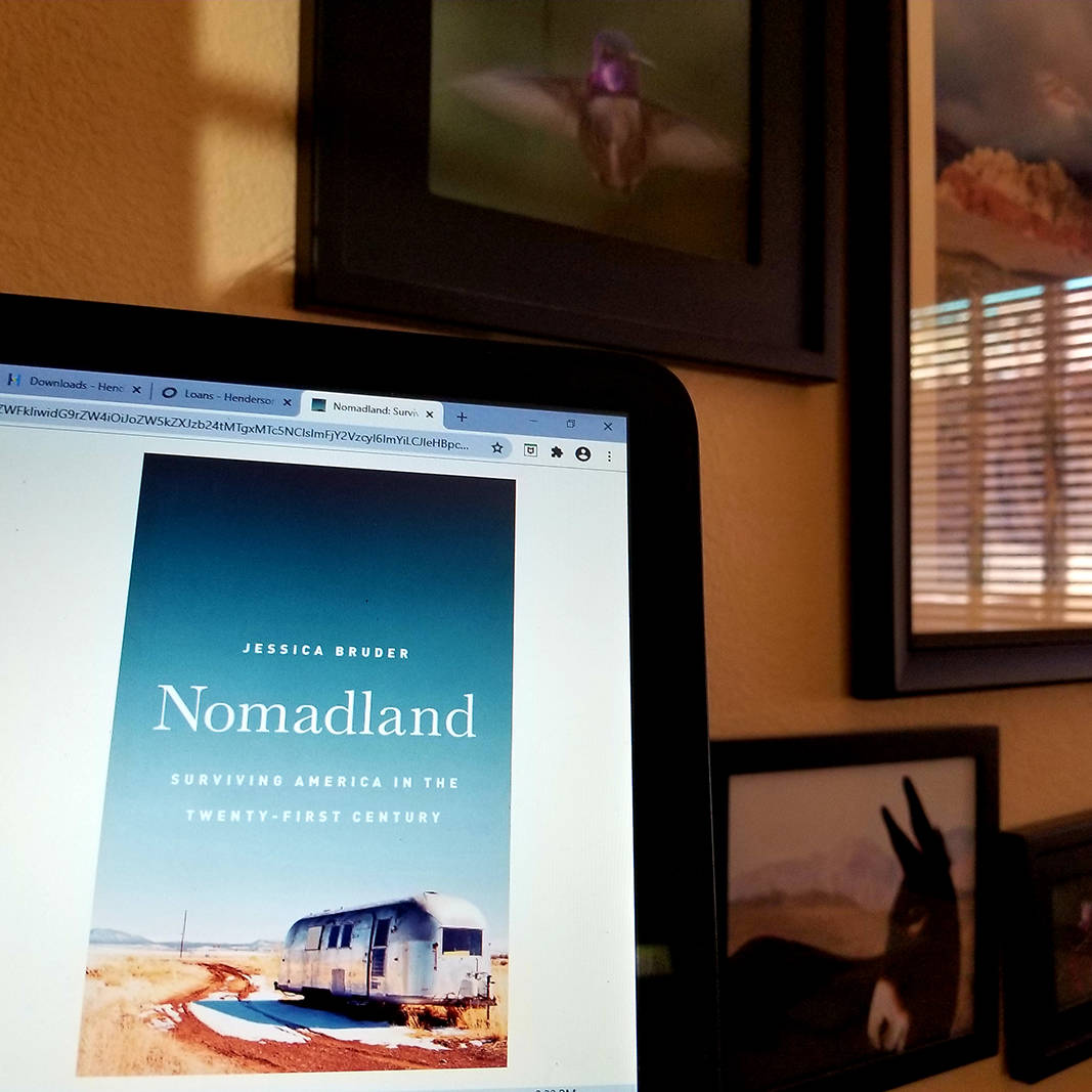 Electronic copies of books, including “Nomadland: Surviving America in the Twenty-First Centu ...