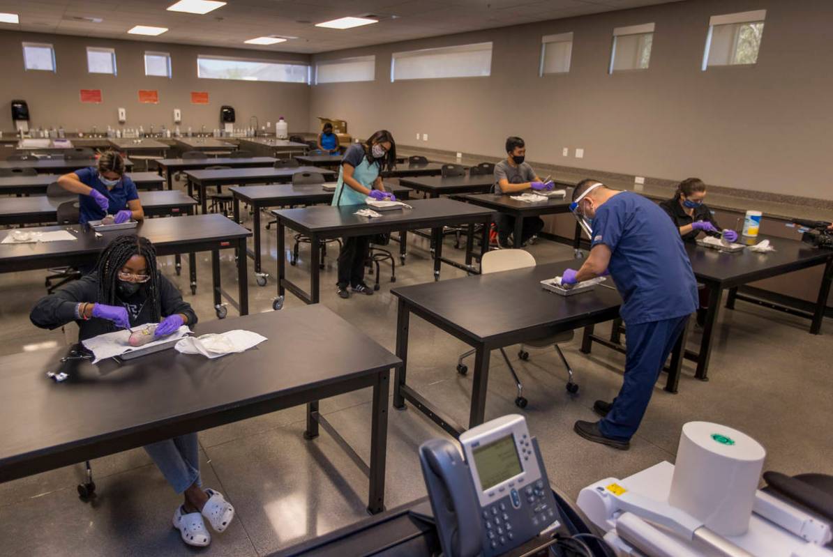 Dr. Hon-Vu Q. Duong, right, and his students begin to open a kidney during a Biology 224 Ð ...