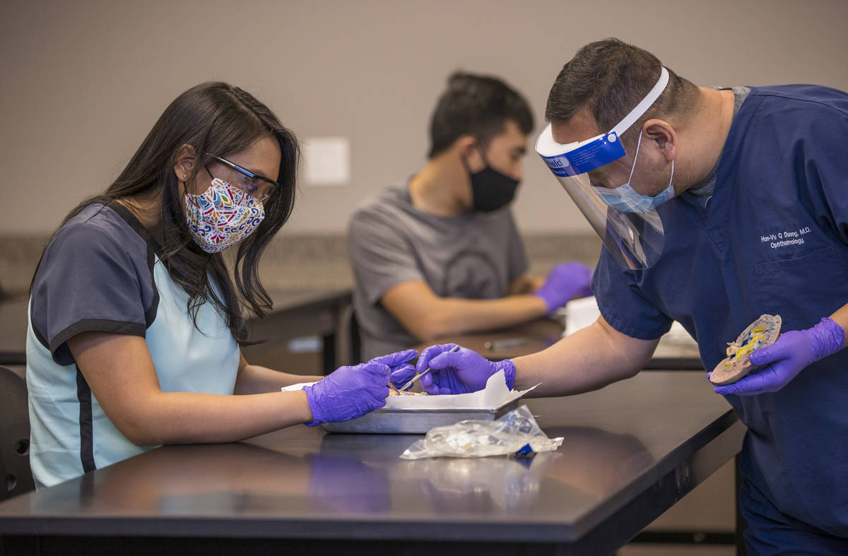 Student Faith Cabillo, left, confers with Dr. Hon-Vu Q. Duong during his Biology 224 Ð Ana ...