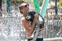 Karla Lippard cools herself with her dog, Benson, at Sunset Park on Friday, Aug. 14, 2020, in L ...