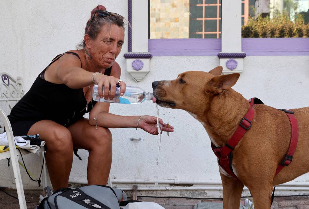 Denise Pultz waters her dog Brutus in the shade on Las Vegas Boulevard at Bridger Avenue Monday ...