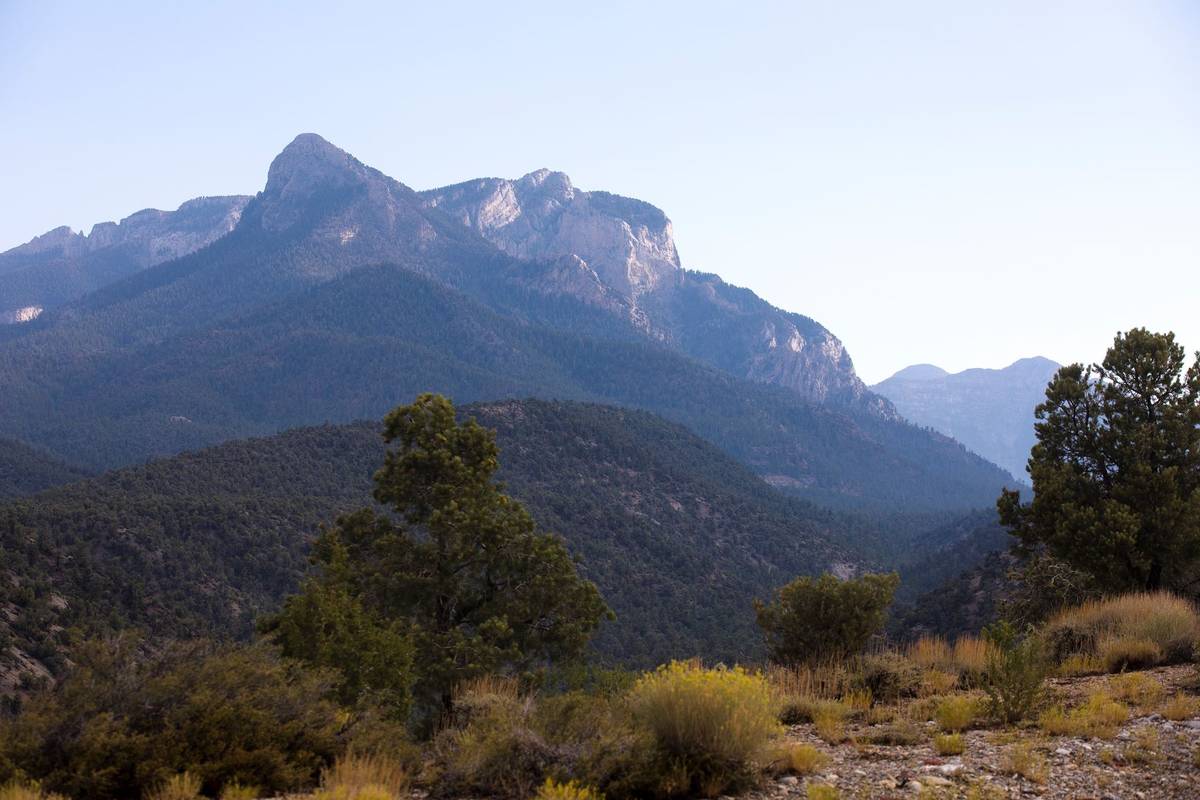 Mt. Charleston on Sunday, Aug. 23, 2020. (Rachel Aston/Las Vegas Review-Journal) @rookie__rae