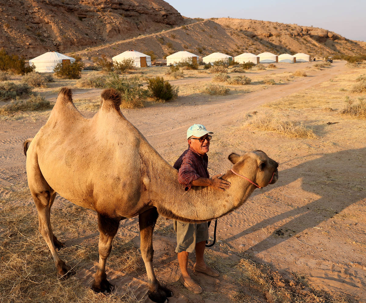 Guy Seeklus, owner of Camel Safari in Bunkerville, went to Mongolia to buy authentic gers to re ...