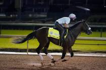 Kentucky Derby entry Tiz the Law runs during a workout at Churchill Downs, Friday, Sept. 4, 202 ...