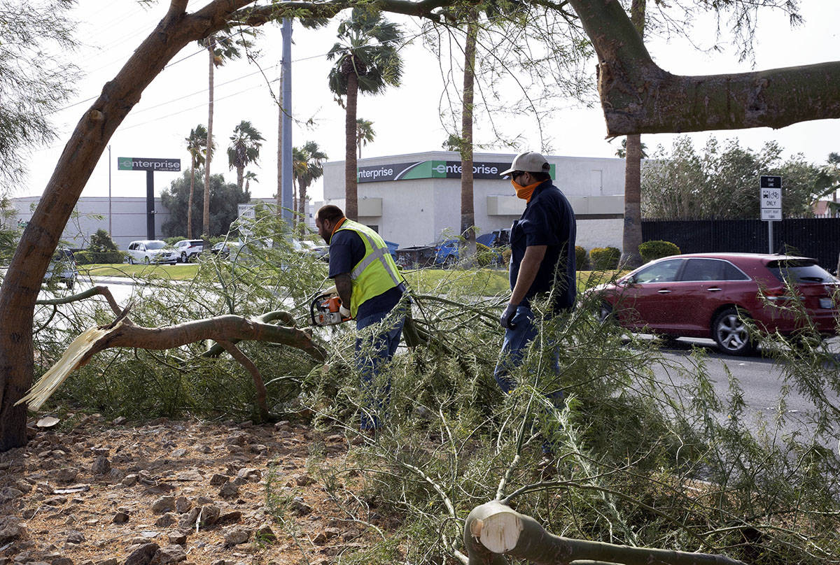 Las Vegas city workers remove tree branches broken by strong wind on Sahara Avenue, near Jones ...