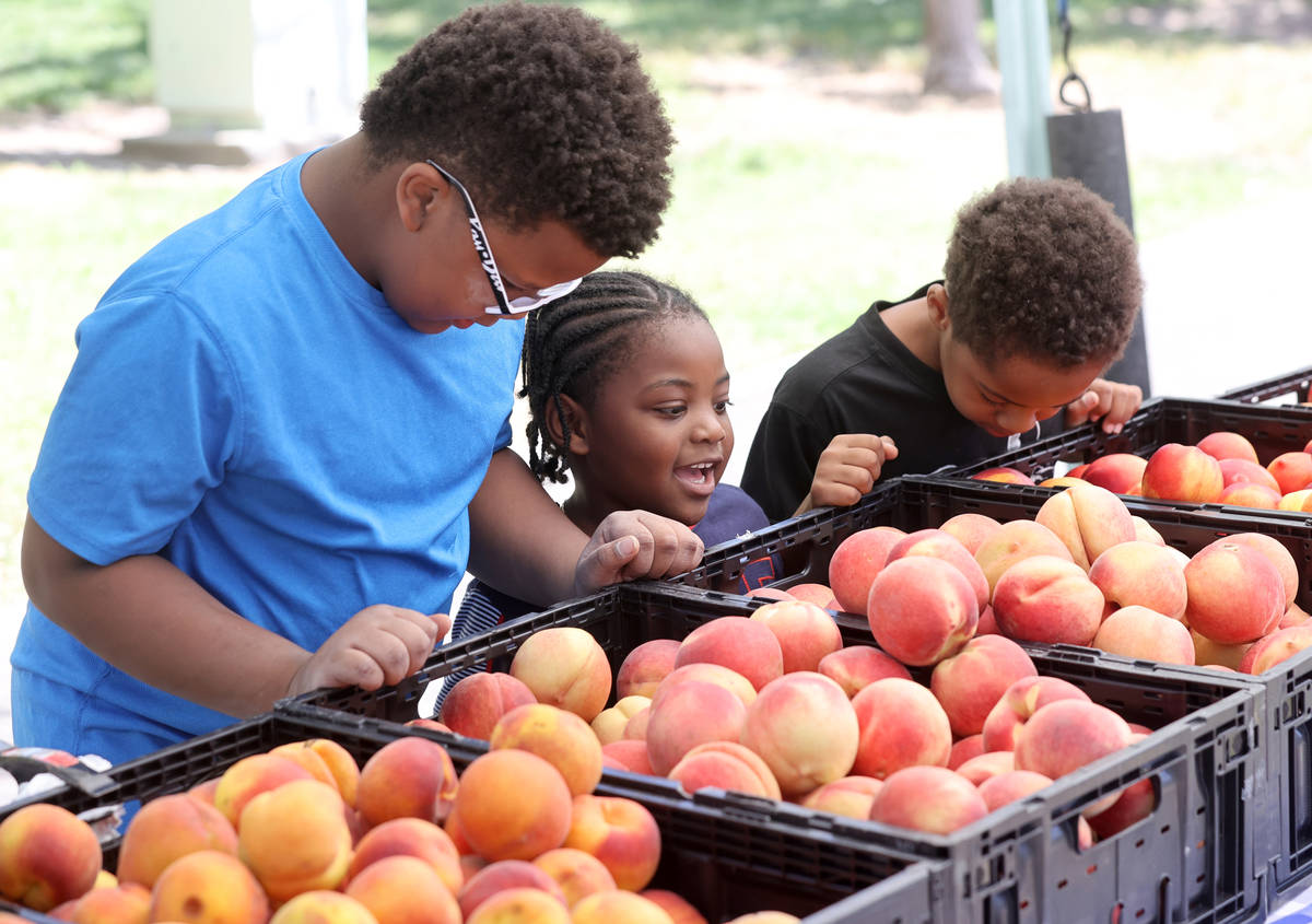 Cousins, from left, Ean Good, 10, Liam Carothers, 4, and Ethan Good, 8, check out the produce a ...