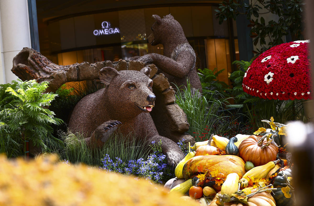 Bears are part of the "Into the Woods" fall display at the Bellagio Conservatory and Botanical ...