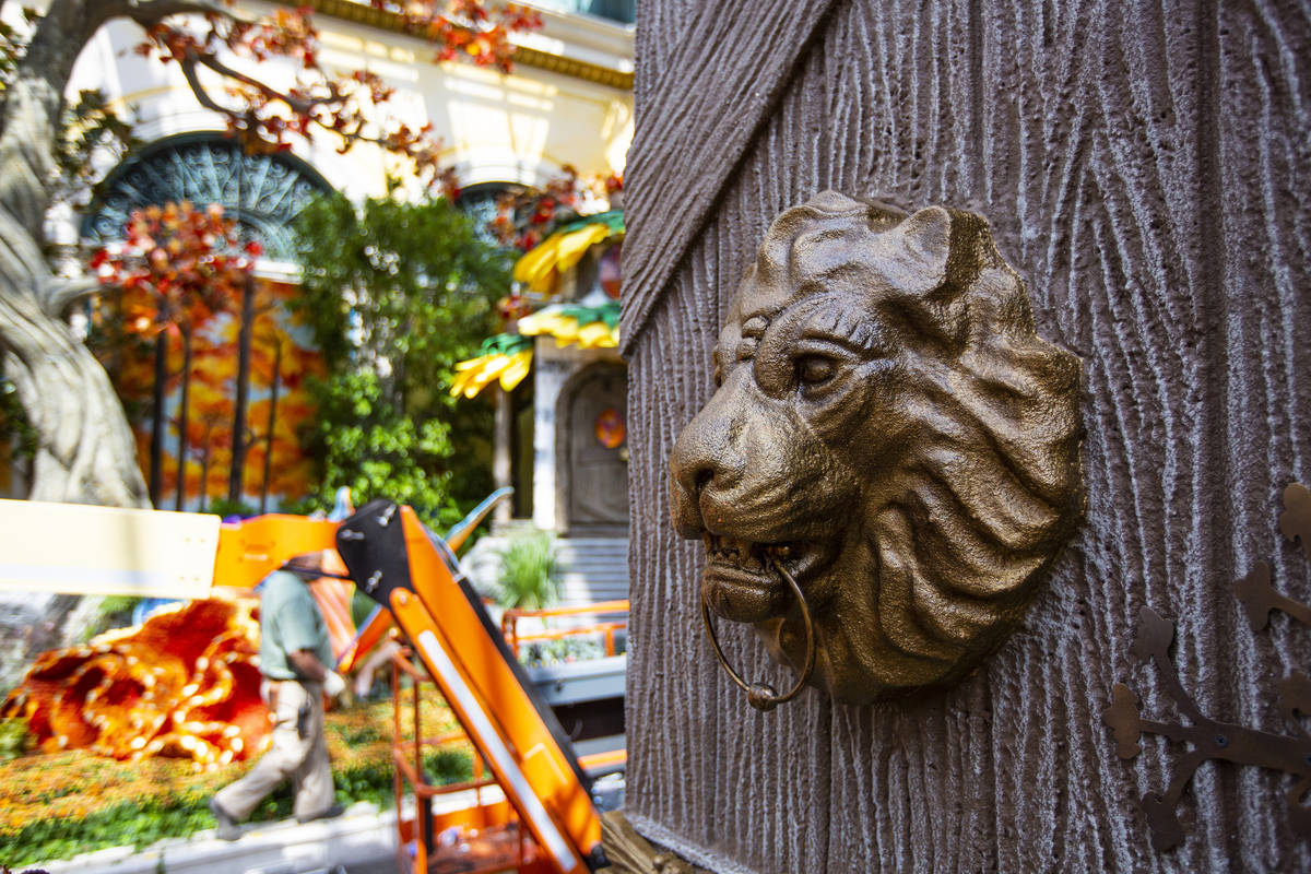 A lion is part of the "Into the Woods" fall display at the Bellagio Conservatory and Botanical ...
