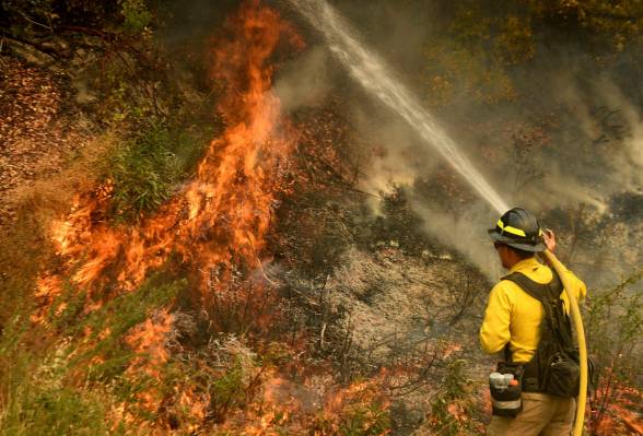 A firefighter puts out a hot spot along Highway 38 northwest of Forrest Falls, Calif., as the E ...