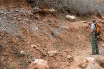 An employee at Zion National Park examines a section of the Middle Emerald Pools Trail destroye ...