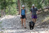 One place to try and beat the heat of 2020 was Mount Charleston. Mary Felker and Herb Page fini ...