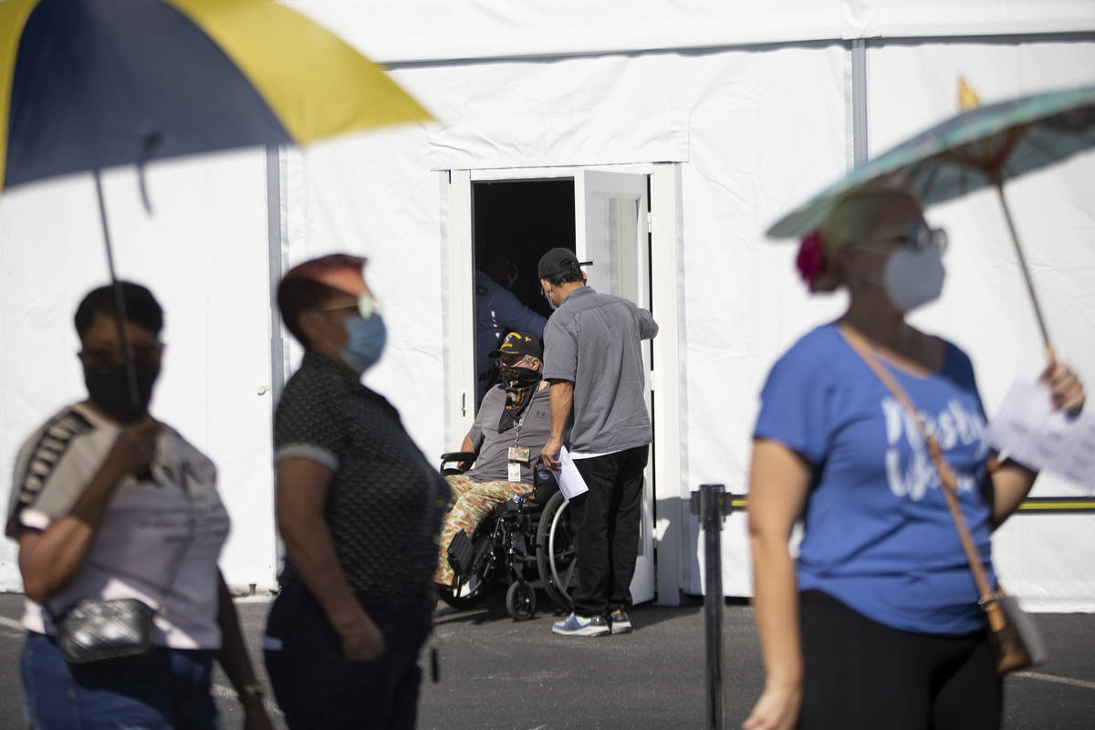 Voters wait in line to cast their ballots at the Boulevard Mall early voting location on Saturd ...