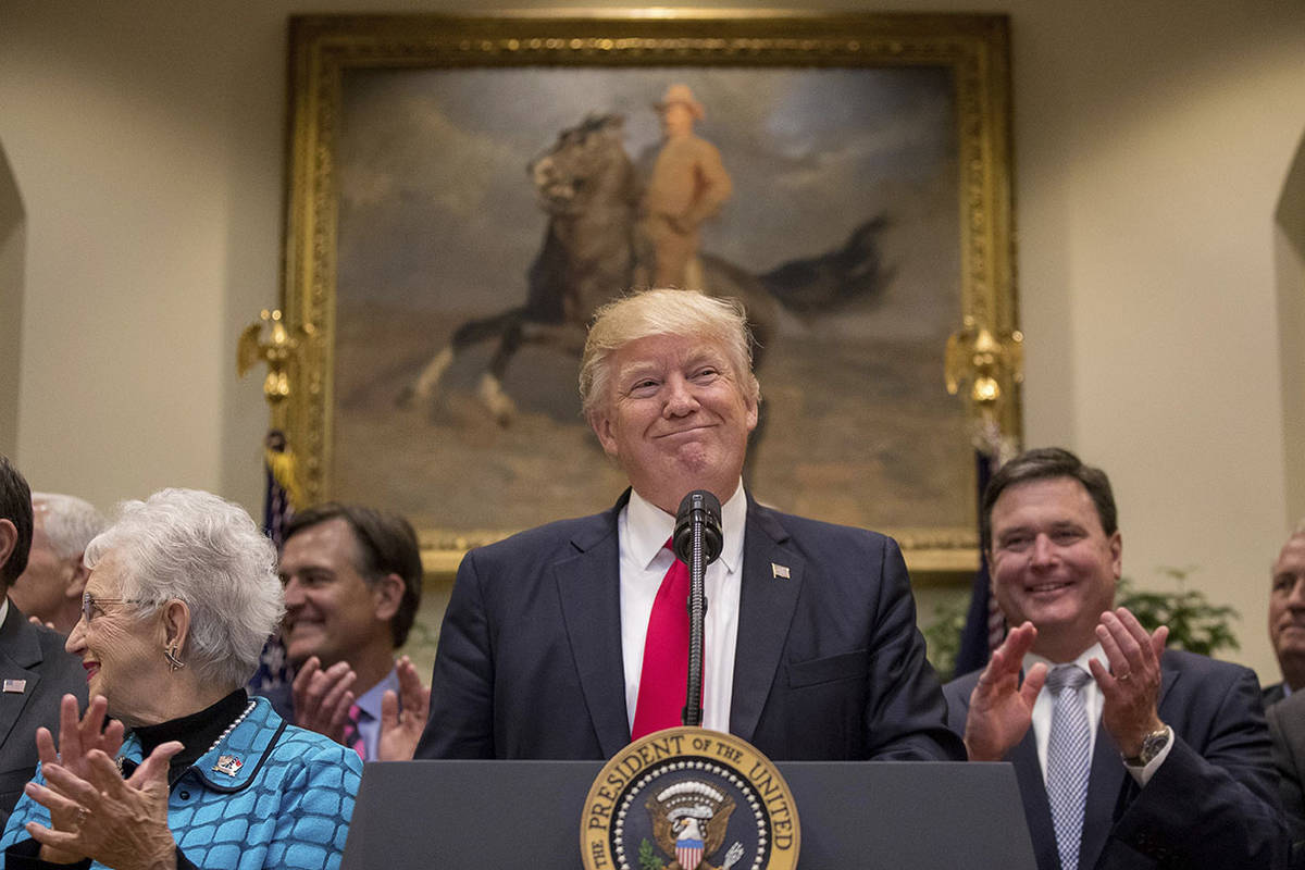 President Donald Trump. (AP Photo/Andrew Harnik)