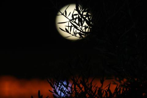 The Blue Moon is seen in Las Vegas, Saturday, Oct. 31, 2020. (Erik Verduzco / Las Vegas Review- ...
