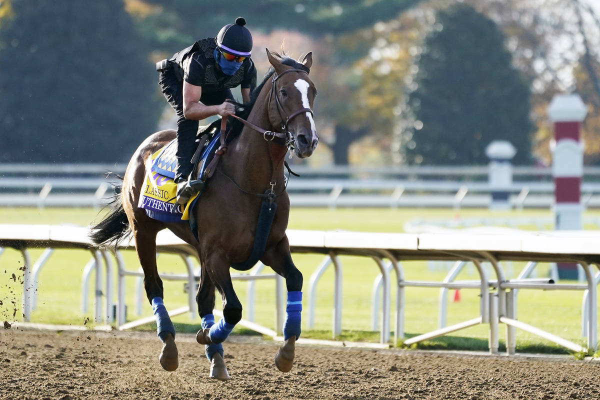 Kentucky Derby winner Authentic is taken for a workout at the Breeders' Cup World Championship ...