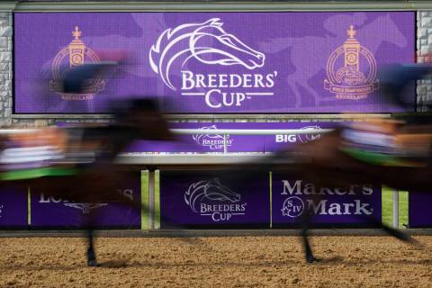Horses pass a video board during a workout for the Breeders' Cup World Championship horse races ...
