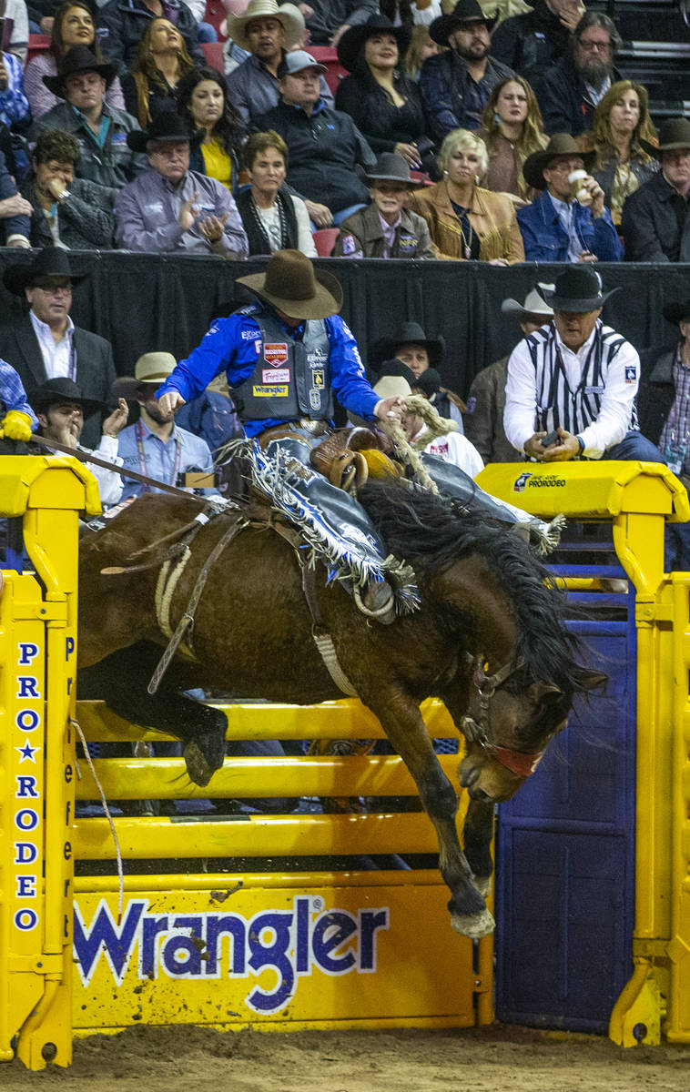 Spencer Wright of Milford, Utah, goes upward in the chute in Saddle Bronc Riding at the tenth g ...