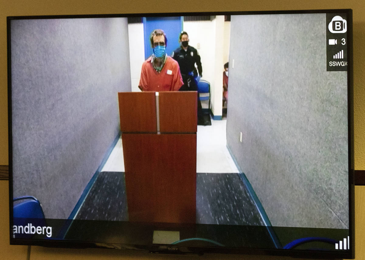 Christopher McDonnell, 28, charged in a Thanksgiving shooting spree, appears via videoconferenc ...