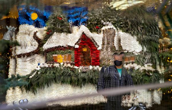The flower Christmas card is reflected in mirrors about the new winter display "Hopeful Holiday ...