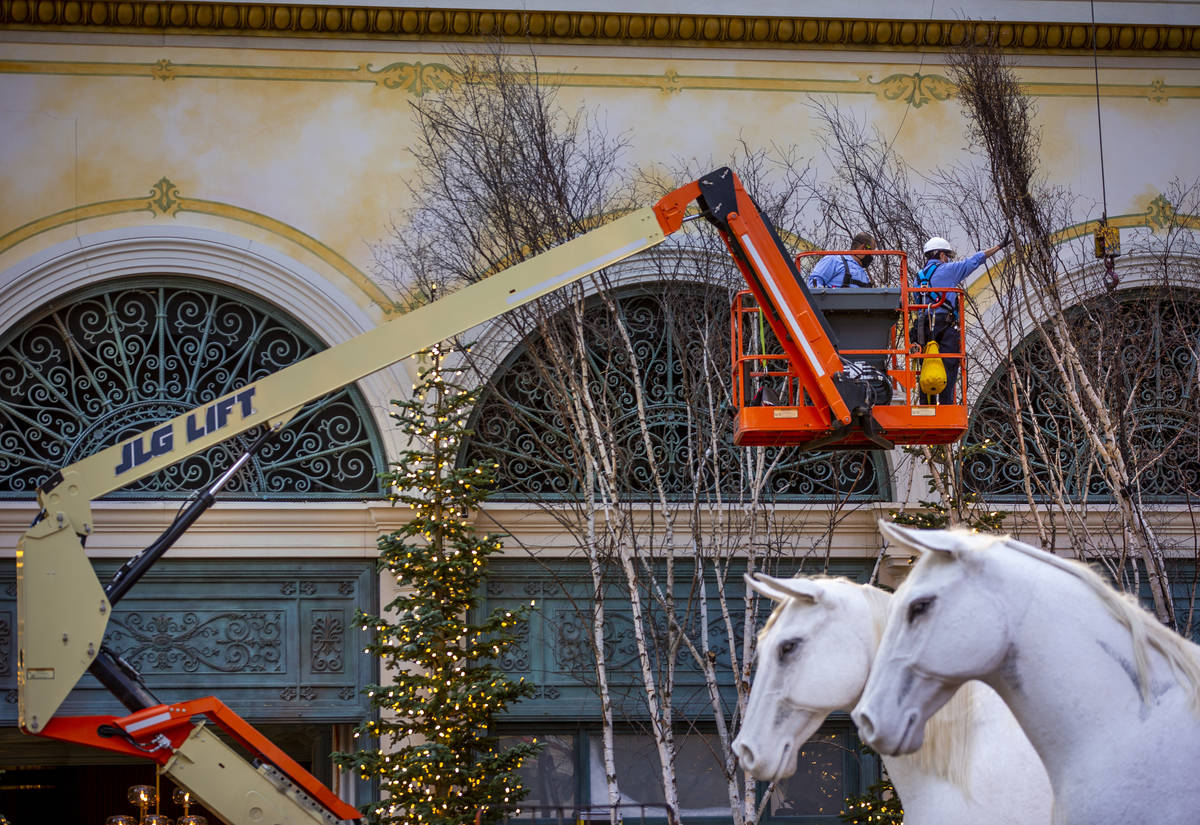 Crew members install tree branches about the new winter display "Hopeful Holidays" within the B ...