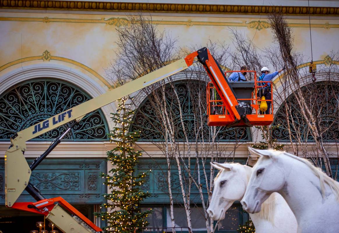 Crew members install tree branches about the new winter display "Hopeful Holidays" within the B ...