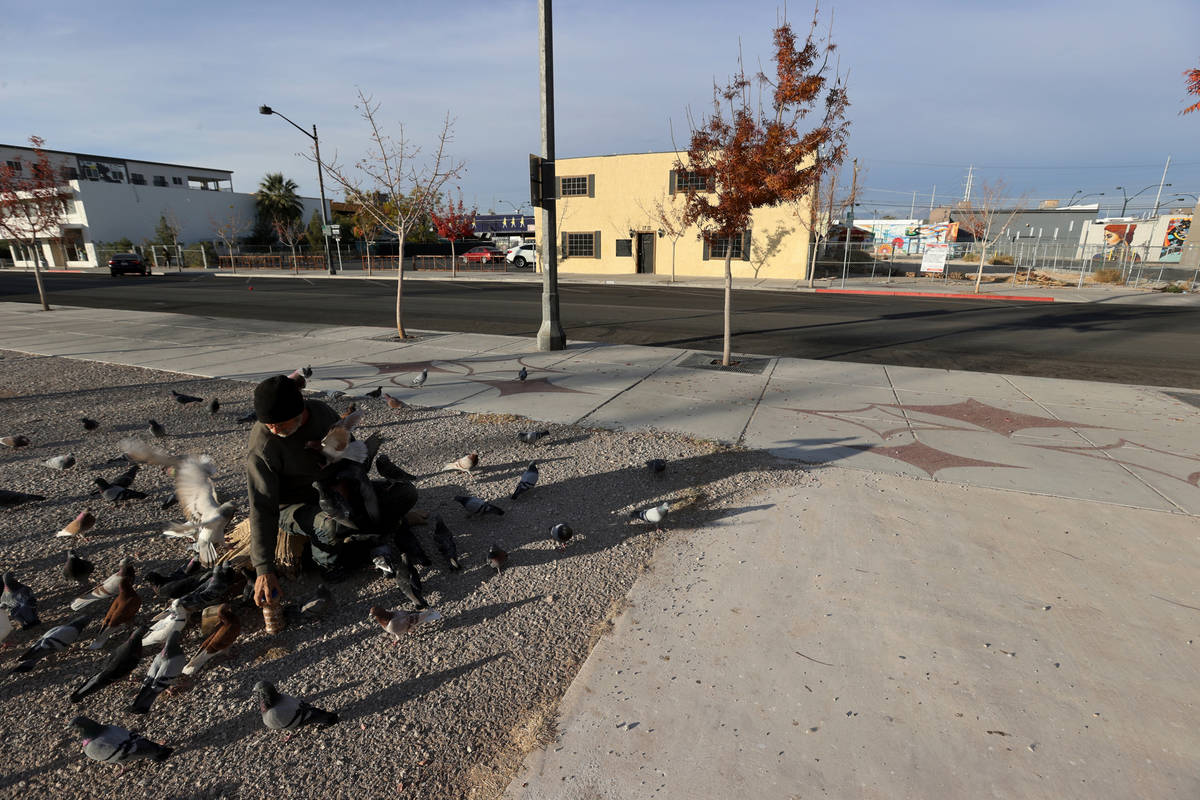Jimmy Williams feed pigeons across the street from a vacant lot at 1208 S. Casino Center Blvd., ...