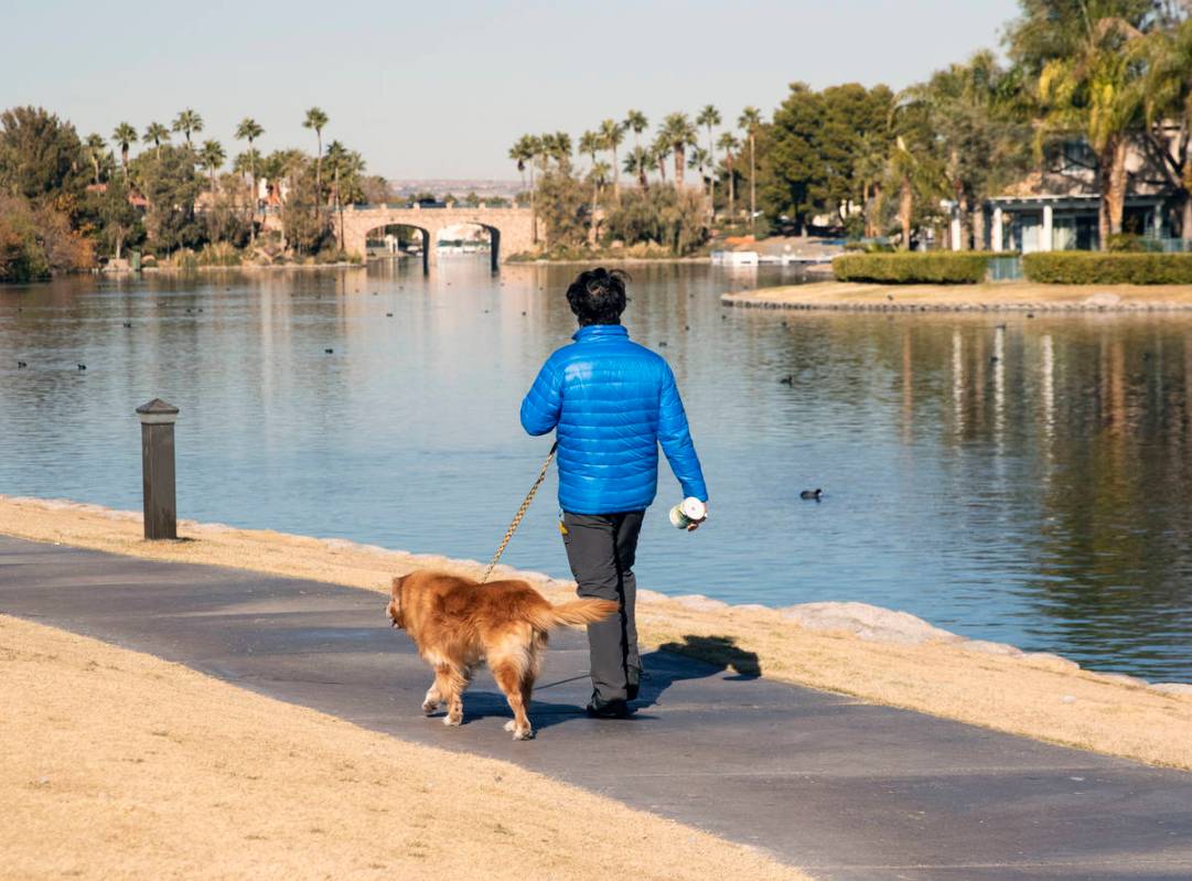 A man walks his dog near Lake Jacqueline where a woman's body was found floating at Regatta and ...