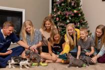 The Neibaur family plays with their 6-week foster puppies and their foster-to-adopt kitten, thr ...