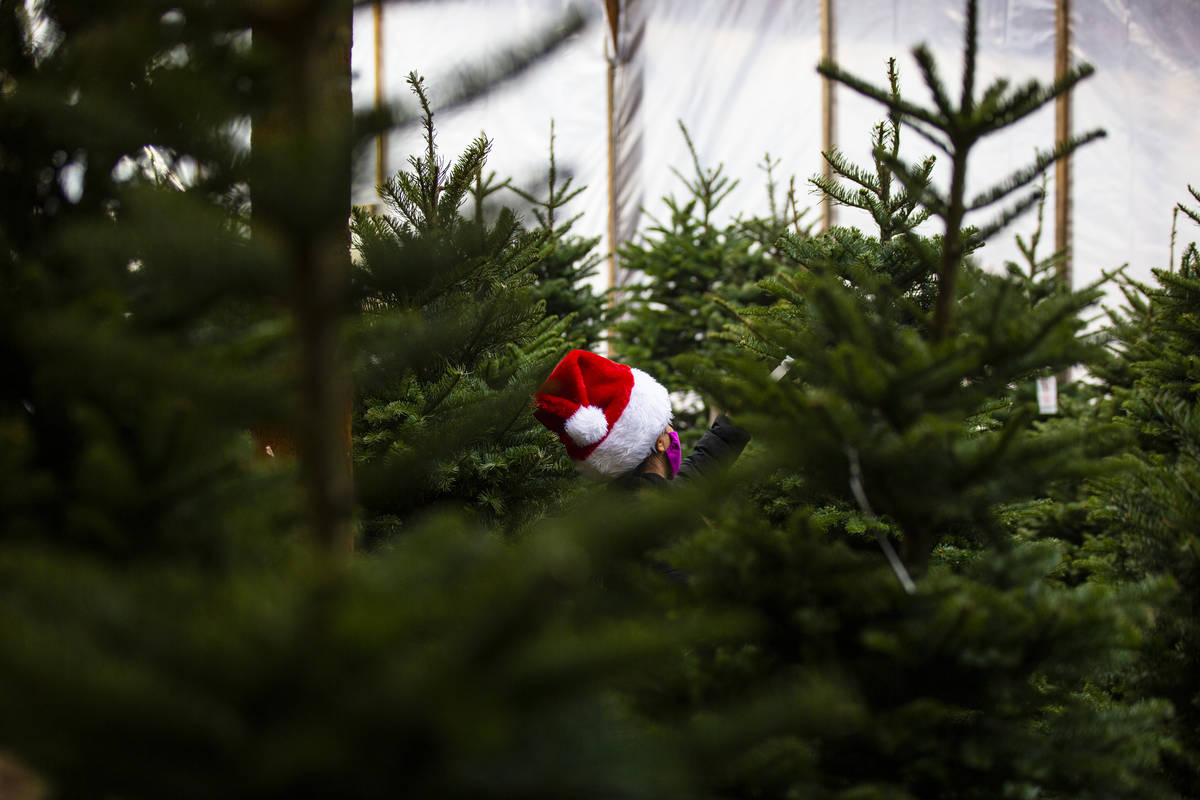 A woman shops for Christmas trees at Star Nursery in Las Vegas on Friday, Dec. 11, 2020. (Chase ...