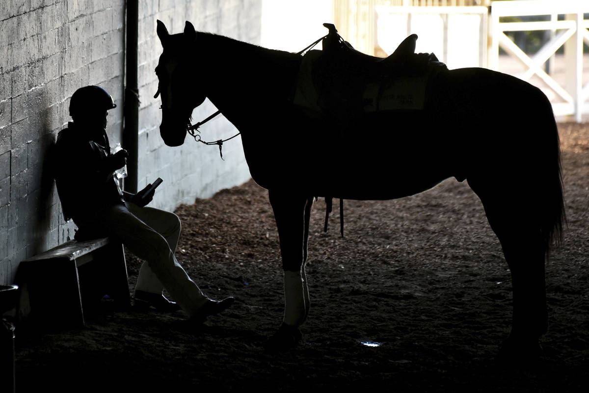 An outrider takes a break underneath the grandstands during the opening day of horse racing at ...